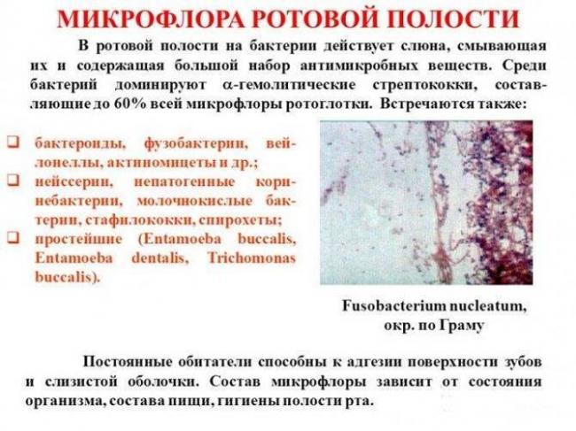 Кандидоз: простой способ проверить наличие грибка в организме
