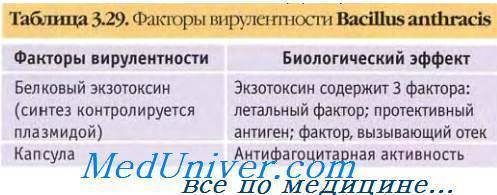 Возбудитель сибирской язвы