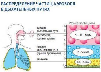 Фостер ингалятор, обзор и инструкция к устройству
