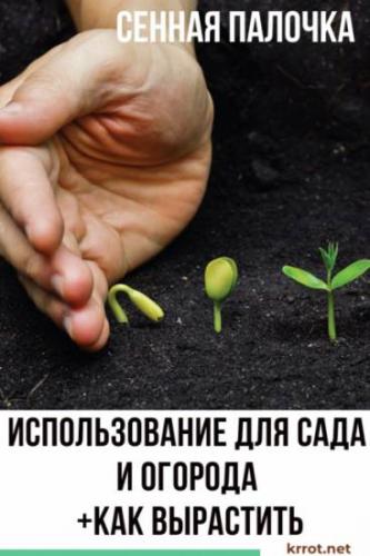 Ii международный конкурс научно-исследовательских и творческих работ учащихся
старт в науке