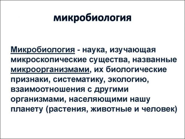 Маленькие, да удаленькие: особенности организма бактерий