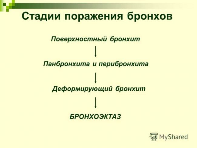 Разновидности бактериального бронхита, причины возникновения, симптомы и способы лечения