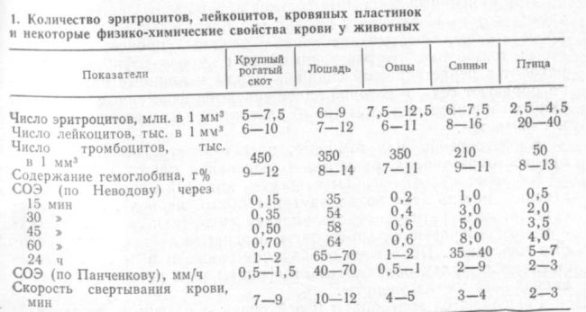 Плазма крови – жидкая часть крови. что такое плазма крови? состав плазмы крови, белки, переливание плазмы