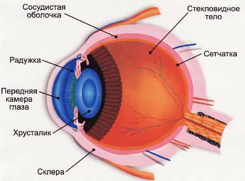 Как вылечить кровоизлияние в глазу народные средства