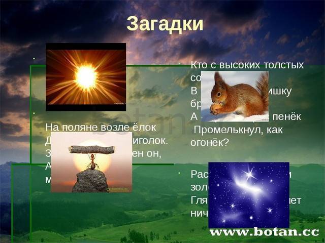 Царство бактерии общая характеристика, кто открыл бактерии, названия и примеры бактерий, чем питаются, как размножаются, запасное вещество бактерий, признаки симбиотических бактерий