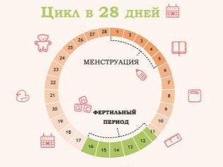 Тест на беременность