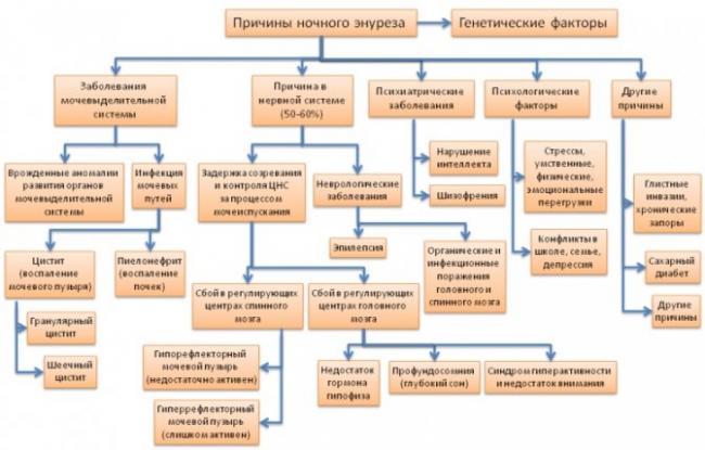 Энурез