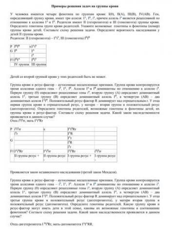 Резус-фактор – что это такое и на что влияет особый белок?