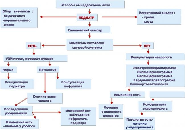Энурез - лечение, профилактика