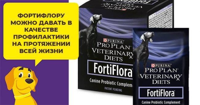 Fortiflora для собак инструкция по применению