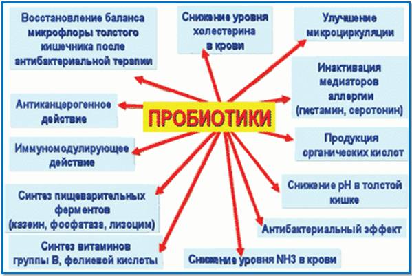 Пробиотики для кишечника. список препаратов при антибиотиках, запорах, поносе, для восстановления микрофлоры взрослому, для детей. названия и цены