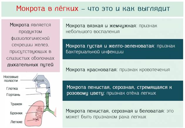 Вопросы