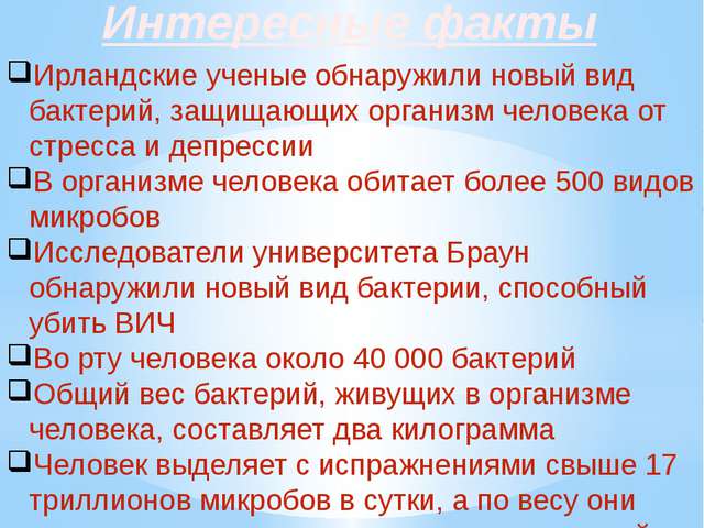 Бактерии и их роль в функционировании живой природы