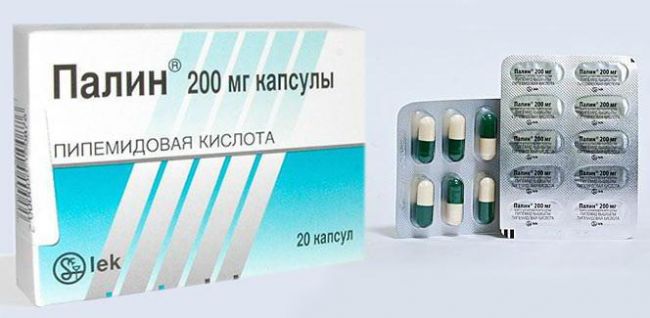 Палин инструкция по применению (таблетки)