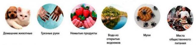 Питание при глистах