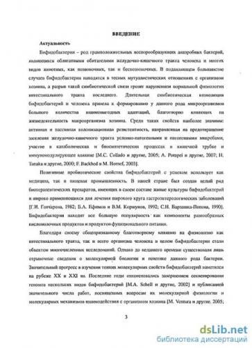Препараты с бифидобактериями для кишечника