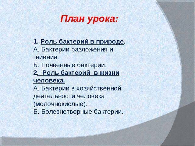 Бактерии и их значение в жизни растений