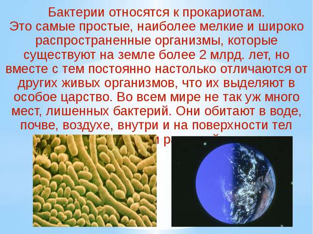 Живые организмы. признаки, классификация, строение, деление