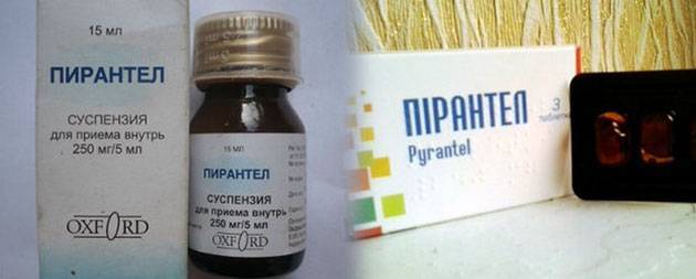 Дозировка пирантела для кошек и собак при глистах