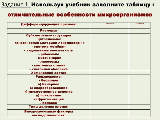 Бактерии грамположительные