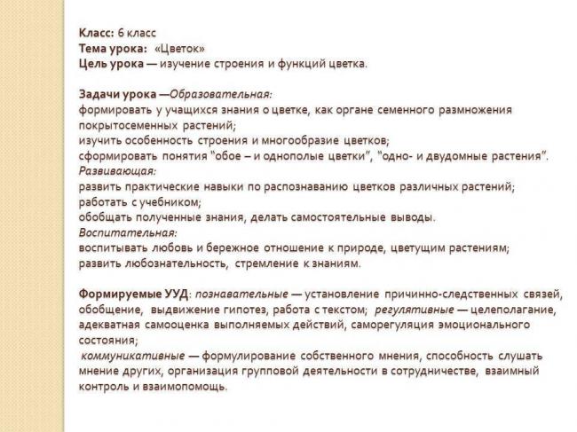 Кольцевая молекула днк