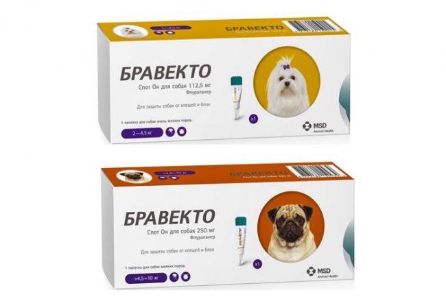«бравекто» для собак: инструкция по применению