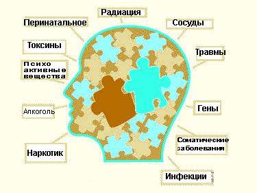 Энцефалопатия