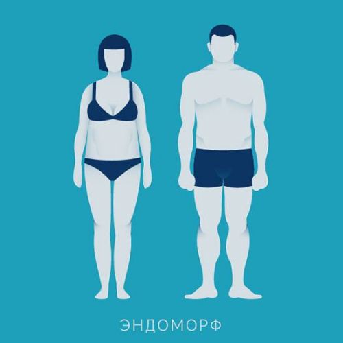 Питание для эндоморфа