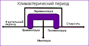 Климактерический синдром: симптомы, признаки, лечение