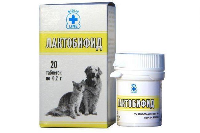 Какие пробиотики давать собаке топ 5 популярных препаратов