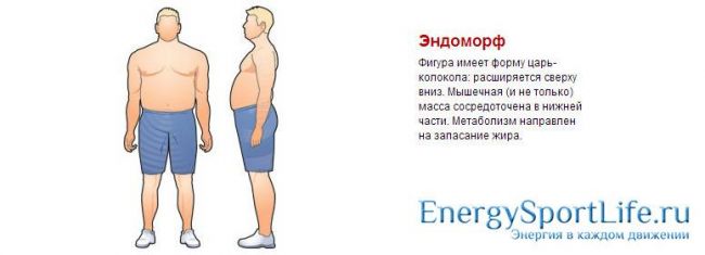 Питание для эндоморфа