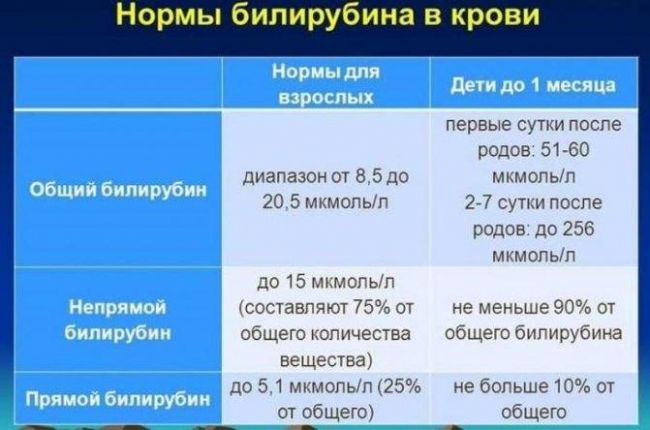 Как быстро и эффективно понизить билирубин в крови в домашних условиях