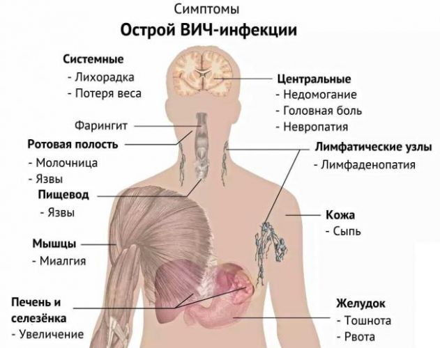 Как передается туберкулез: воздушно капельным путем или половым? через сколько проявляется туберкулез после контакта с больным