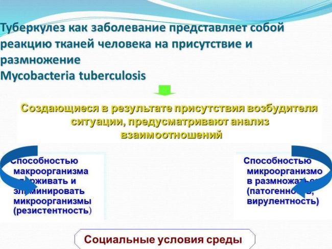 Mycobacterium tuberculosis