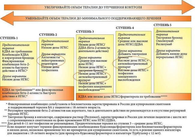 Лекарство от астмы: список препаратов нового поколения