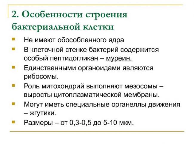 Жгутики