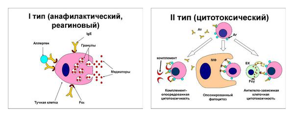 Токсико аллергический дерматит лечение