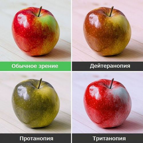 Кто такой дальтоник – виды и причины дальтонизма: кто не различает цвета