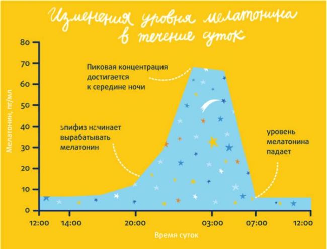 Мелатонин