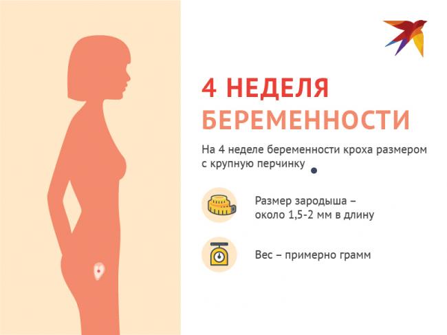 Беременность и гипертония, повышенное давление при беременности, гипертоническая болезнь у беременных
