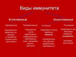 Чем отличается пассивный иммунитет от активного?