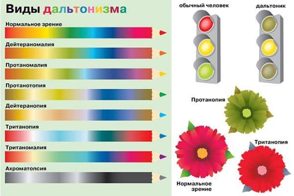 Тест на дальтонизм. таблицы рабкина