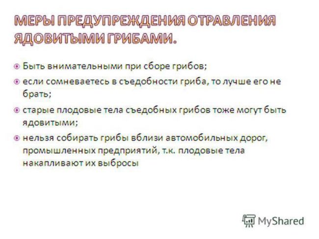 Презентация по окружающему миру на тему " царство живой природы. бактерии" ( 2 класс)