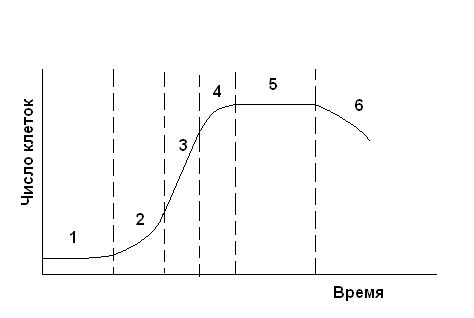 Какие факторы способствуют росту и развитию бактерий в различных средах
