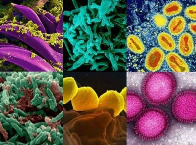 Приложение n 2. инструкция по применению клинической классификации туберкулеза