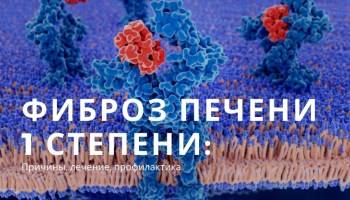 Фиброз печени: симптомы, сколько живут с таким диагнозом