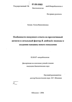 Сибирская язва: возбудитель заболевания, симптомы, лечение и профилактика. фото