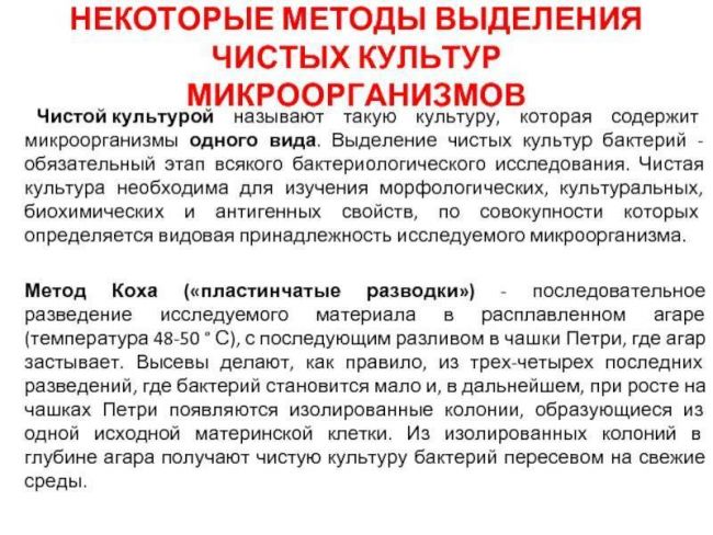 Выделение чистой культуры молочнокислых бактерий - общая и пищевая микробиология часть i - л. в. красникова - 2016