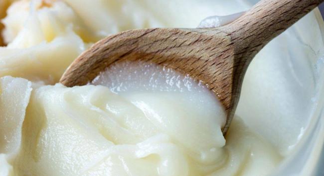 Лечение органов дыхания барсучьим жиром