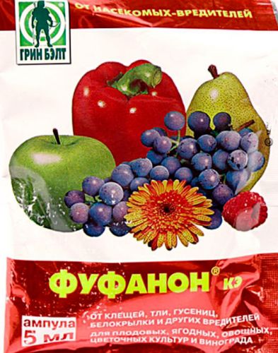 «фуфанон